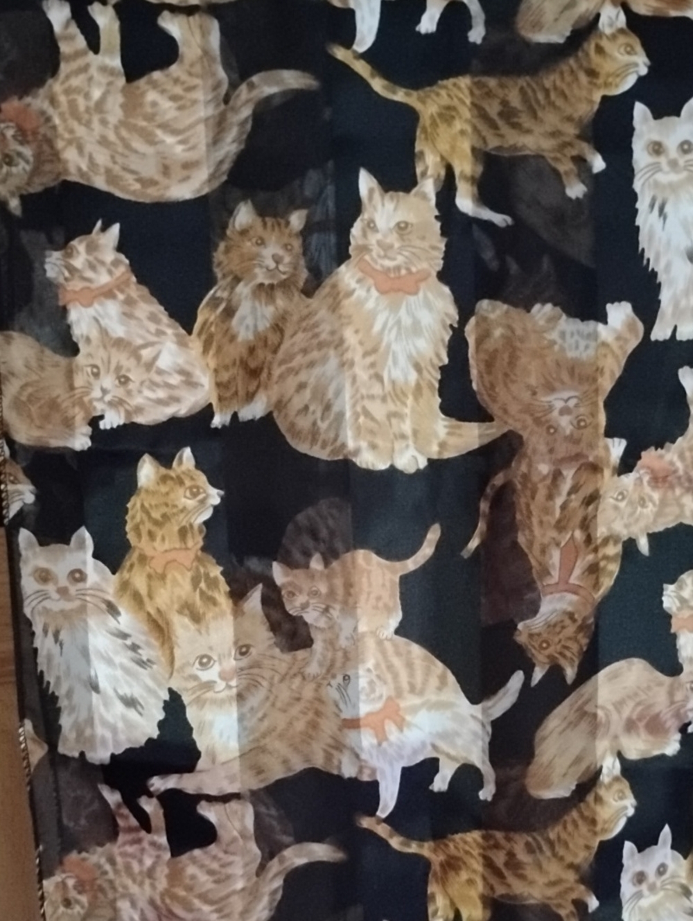 Cat Print Black & Orange Patterned Scarf